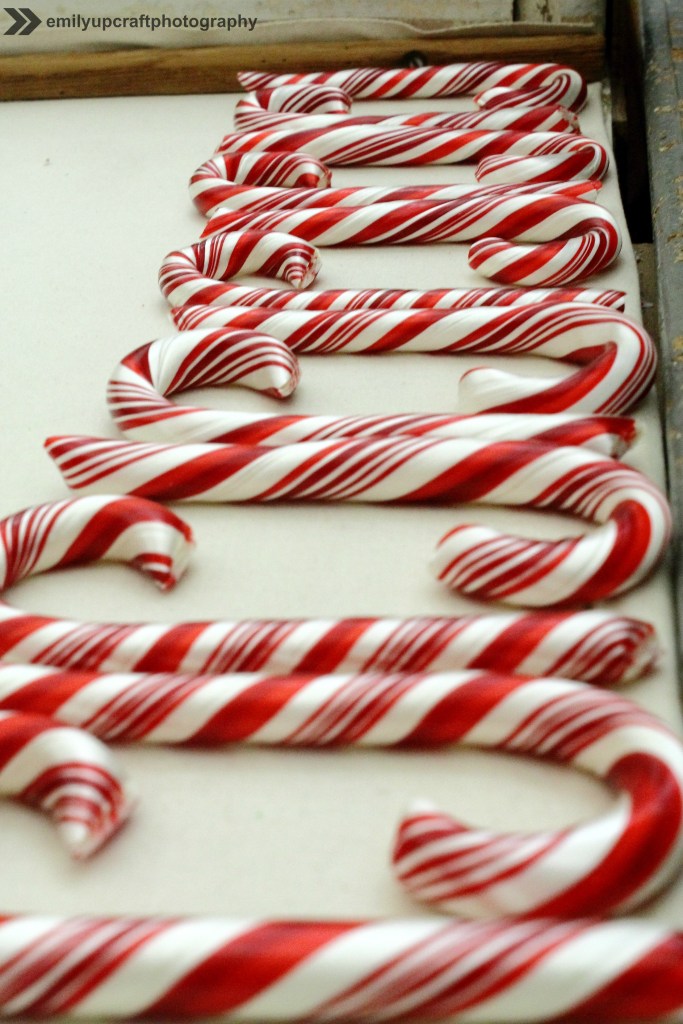 Candy Canes